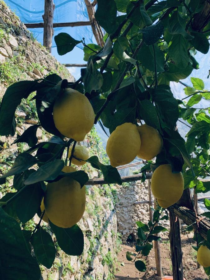 Il Giardino Dorato Vila Maiori Exterior foto